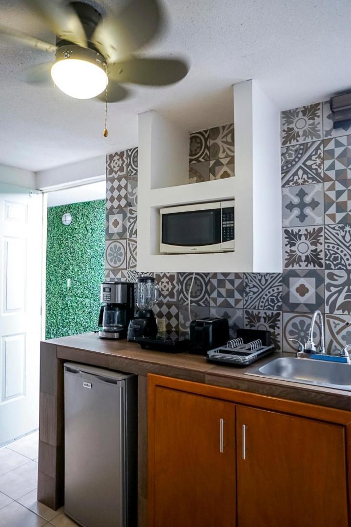 Lofts Arsenico San Luis Potosí